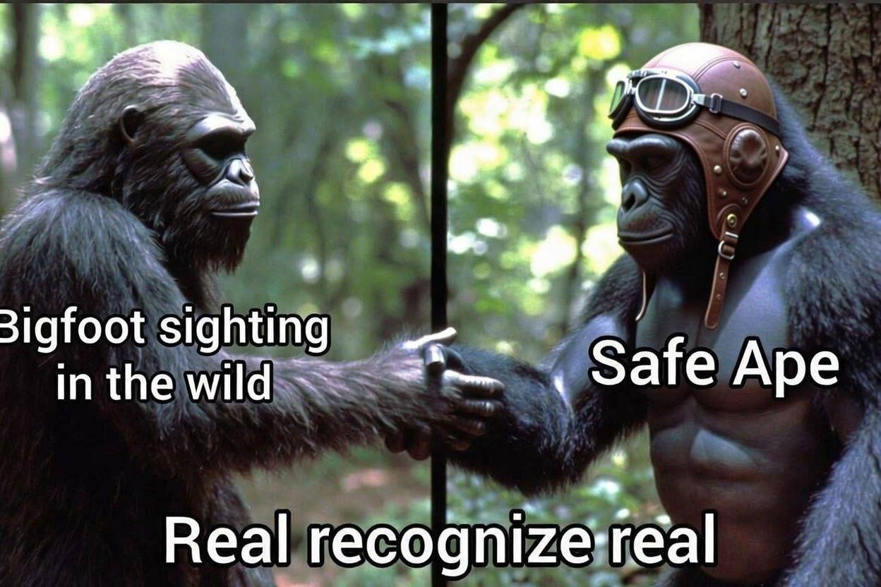 Sighting at OZARKS · AR